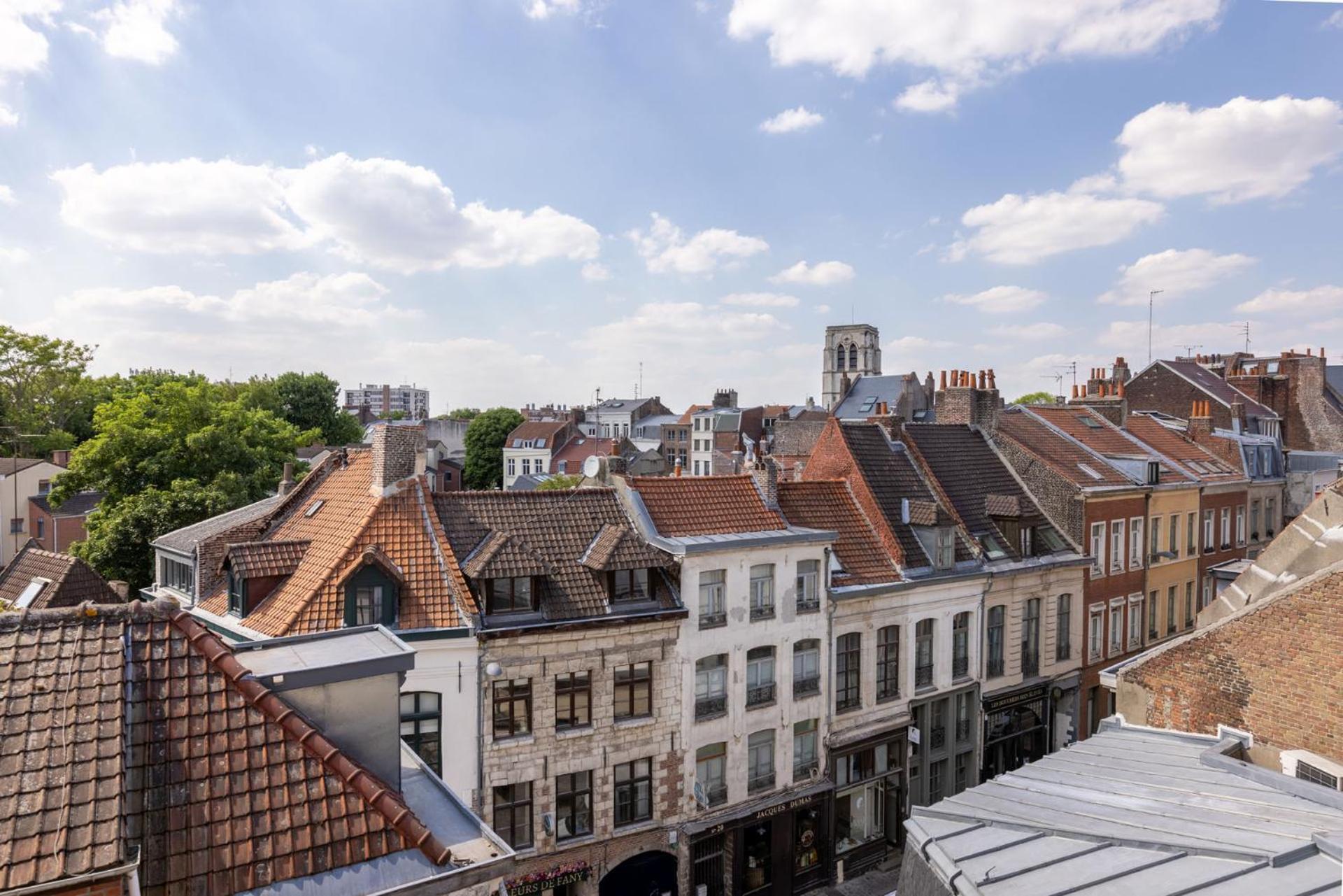 Au Chat Qui Dort Lille - Thiers エクステリア 写真